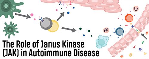 The Role of Janus Kinase (JAK) in Autoimmune Disease Banner